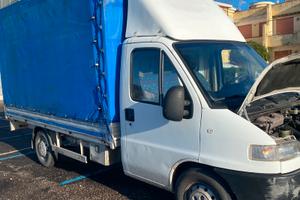 Furgone Ducato centinato