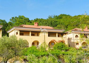 4 LOCALI A PISCIOTTA