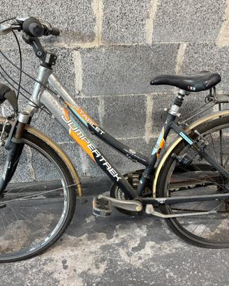 Bicicletta