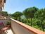 Immagine 16