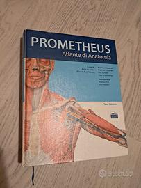 Prometheus. Atlante di Anatomia - 3^ edizione