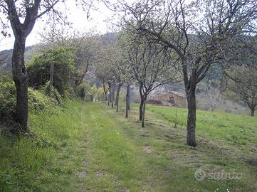 Rustico da ricostruire con terreno circostante