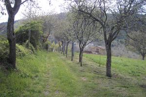 Rustico da ricostruire con terreno circostante