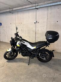 Leoncino benelli 250