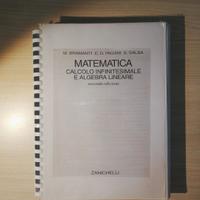 Calcolo infinitesimale e algebra lineare,edizione2