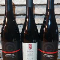 Vino Pregiato Amarone 