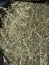 Fieno per coniglietti e cavie