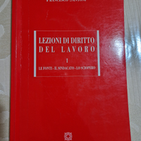 Lezioni di diritto del lavoro Libro universitario