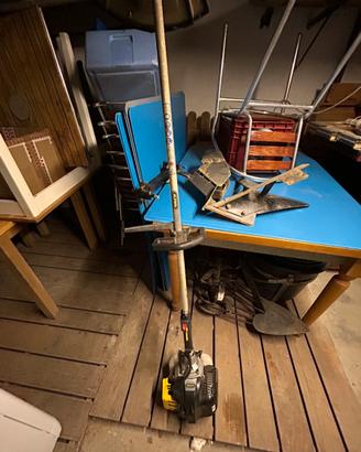 Decespugliatore alpina