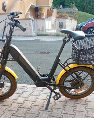 Bici elettrica