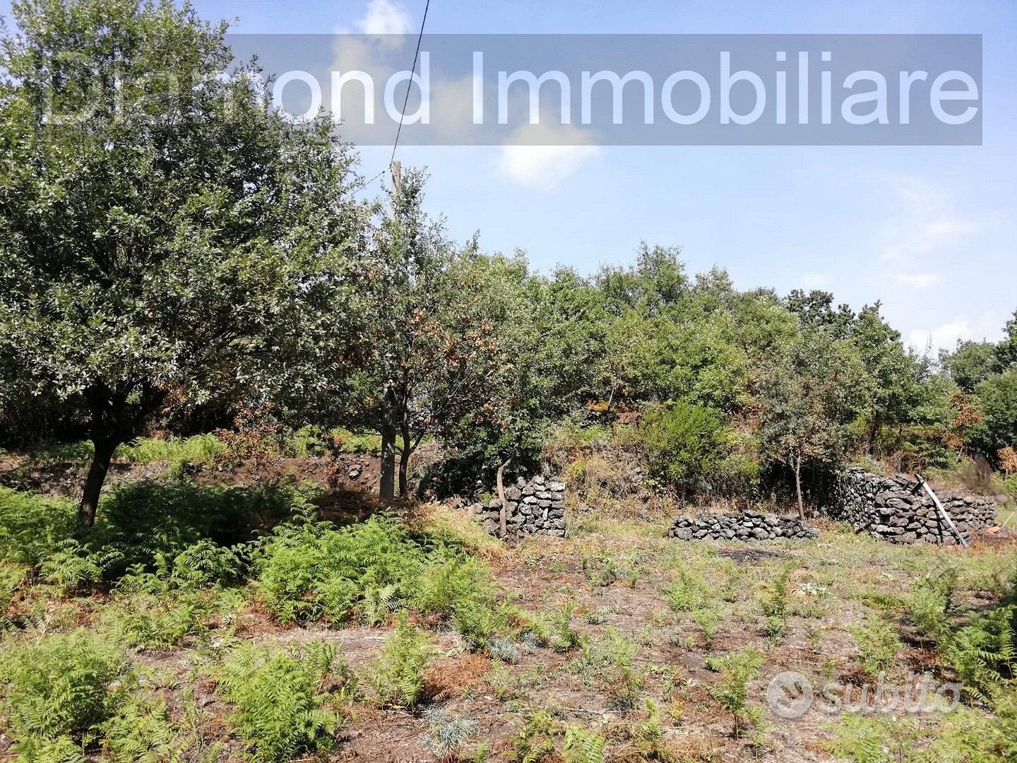 Terreno 3.000mq con progetto a Linguaglossa - Vista 5