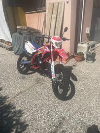 beta rr 50