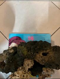 Rocce vive acquario marino