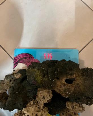 Rocce vive acquario marino