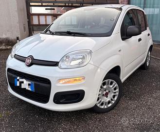 Fiat Panda  3a Serie 1.2 GPL Benzina  Lounge