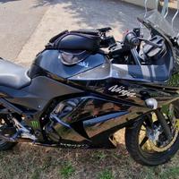 Kawasaki Ninja 250r