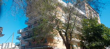 Appartamento con terrazza - vle umberto