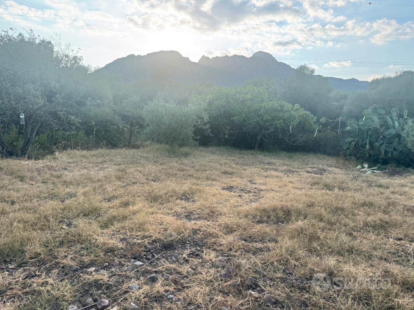 Terreno agricolo con fabbricato e riserva idrica - Altro