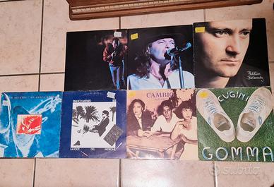 Dischi in vinile 33 giri