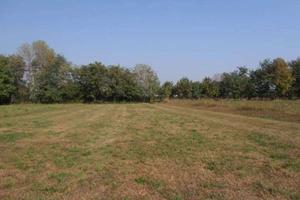 Pontirolo Nuovo - Terreni Agricoli 90 pertiche