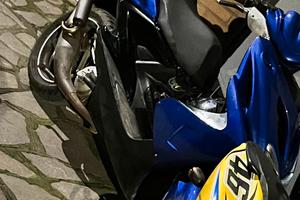 Marmitta giannelli extra v2