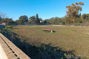 Terreno agricolo