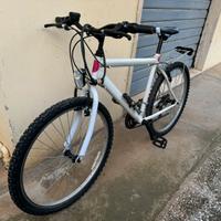 Mountain bike 26”
