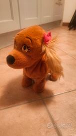 cagnolina Lucy 