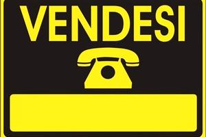 Mura di negozio sul viale principale via altinate