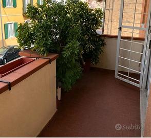 Pisa-S.Giusto: 4 vani con terrazzo