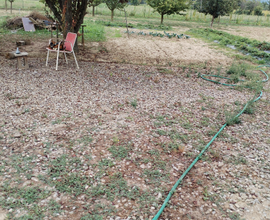 Terreno agricolo, uso orto