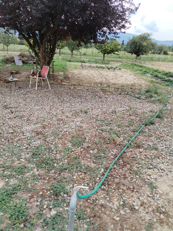 Terreno agricolo, uso orto