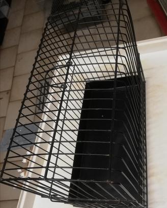 Gabbie da esposizione