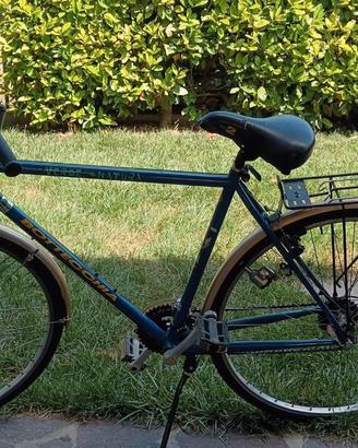 bicicletta bottecchia da uomo 