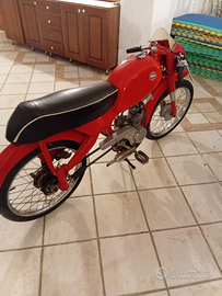 Motom super sport
