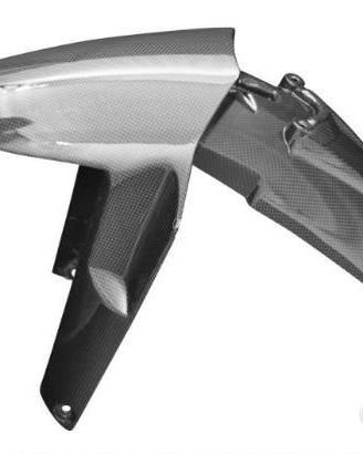 Parafango anteriore carbonio bmw r1250gs