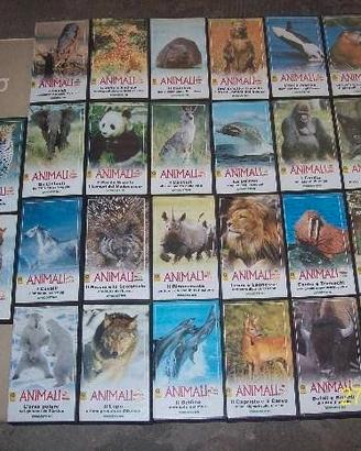 VHS documentari della serie ANIMALI In Primo Piano