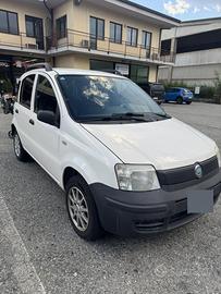 Panda 1.2 Dynamic Natural Power