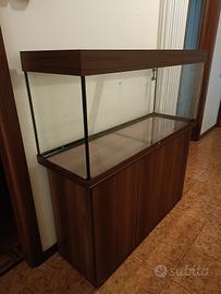 Acquario marino 
