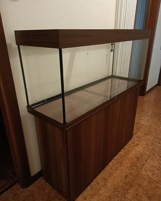 Acquario marino 