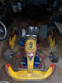 Kart 100 PCR raffreddore a liquidò