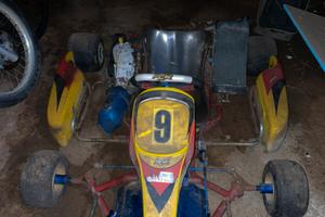 Kart 100 PCR raffreddore a liquidò