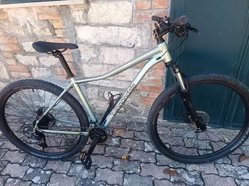 Bici MTB