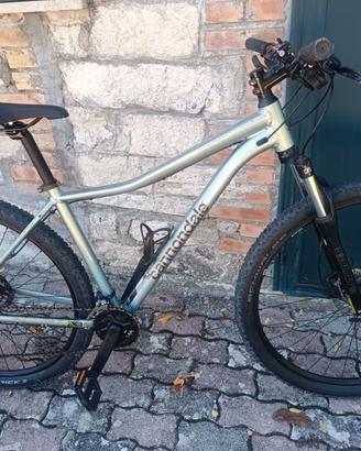 Bici MTB