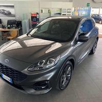 FORD Kuga 2.0 EcoBlue Hybrid 150 CV 2WD ST-Line