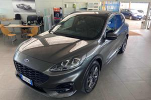 FORD Kuga 2.0 EcoBlue Hybrid 150 CV 2WD ST-Line