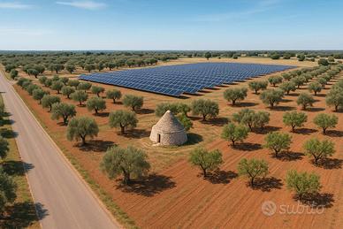 Terreno mellitto BA003540