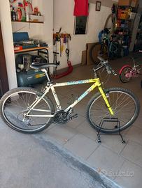 Bicicletta mountain-bike 