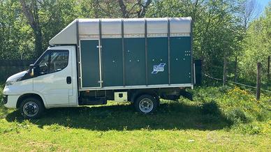 DAILY TRASPORTO ANIMALI VIVI