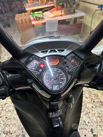 SH 300i targa polacca